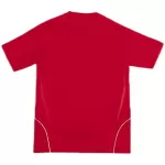 Classic Spain Home Jersey Euro Cup 2008 - thejerseys