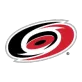 Carolina Hurricanes - thejerseys