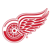 Detroit Red Wings - thejerseys