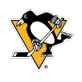 Pittsburgh Penguins - thejerseys