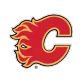 Calgary Flames - thejerseys