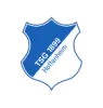 Hoffenheim - thejerseys