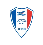 Suwon Samsung Bluewings - thejerseys