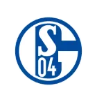 FC Schalke 04 - thejerseys