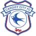 Cardiff City - thejerseys
