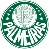 SE Palmeiras - thejerseys