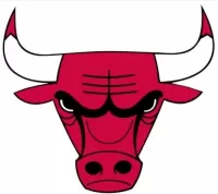 Chicago Bulls - thejerseys
