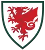 Wales - thejerseys