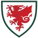 Wales - thejerseys