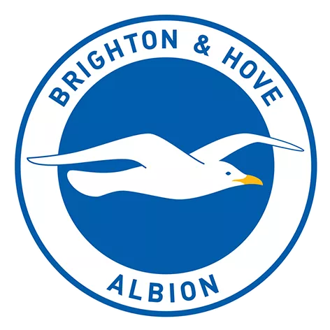 Brighton & Hove Albion - thejerseys