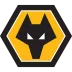 Wolverhampton Wanderers - thejerseys