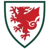 Wales - thejerseys