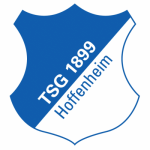 Hoffenheim - thejerseys