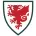 Wales - thejerseys