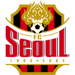 FC Seoul - thejerseys