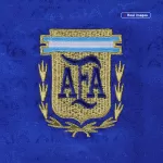 Classic Argentina #10 Away Jersey 1994 - thejerseys
