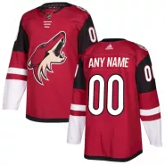 Men Arizona Coyotes Custom NHL Jersey - thejerseys