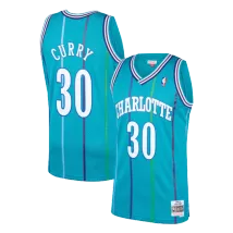 Men's Charlotte Hornets Dell Curry #30 Hardwood Classics Jersey 1992/93 - thejerseys