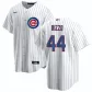 Men Chicago Cubs Anthony Rizzo #44 Home White Replica Jersey - thejerseys