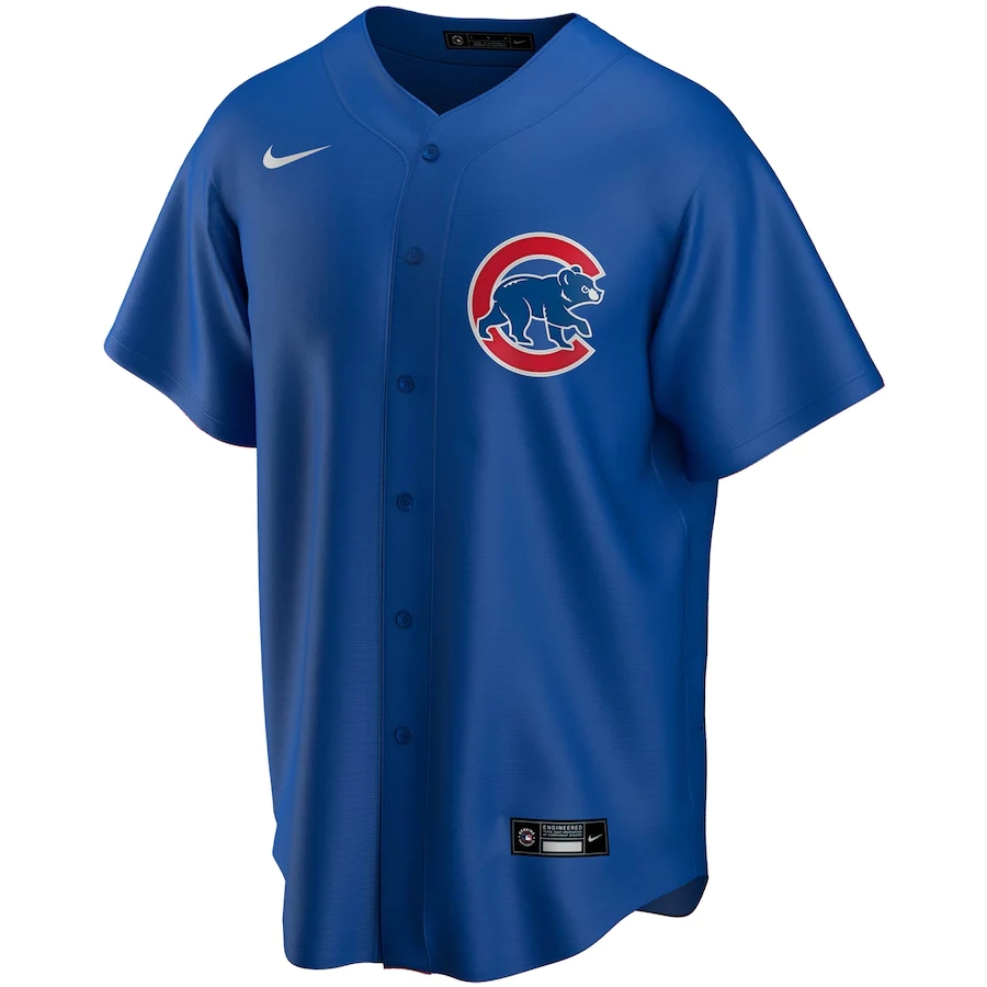 Men's Chicago Cubs Eddie Vedder #10 Nike White Home Player Jersey