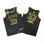 Men's Los Angeles Lakers LeBron James #23 Black 2020 Swingman Jersey - City Edition - thejerseys