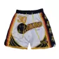 Men's Golden State Warriors White Mesh NBA Shorts - thejerseys