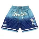 Men's Charlotte Hornets Blue Mesh NBA Shorts - thejerseys