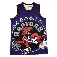 Men's Toronto Raptors Vince Carter #15 Mitchell & Ness Purple Hardwood Classics Jersey - thejerseys