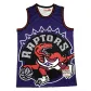 Men's Toronto Raptors Vince Carter #15 Mitchell & Ness Purple Hardwood Classics Jersey - thejerseys