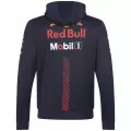 Men Red Bull F1 Red Hoodie 2023 - thejerseys