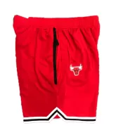 Chicago Bulls Nike Red Swingman NBA Shorts - thejerseys