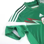 Mexico Home Retro Soccer Jersey 2014 - thejerseys