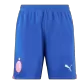 AC Milan Third Away Soccer Shorts 2023/24 - thejerseys