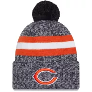 Men NFL Chicago Bears Gray Cuffed Knit Hat With Pom 2023 - thejerseys