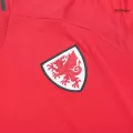 Men's Wales Home Soccer Jersey 2024 - thejerseys