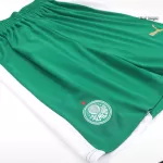 SE Palmeiras Away Soccer Shorts 2024/25 - thejerseys