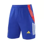 Spain Pre-Match Soccer Shorts Euro 2024 - thejerseys