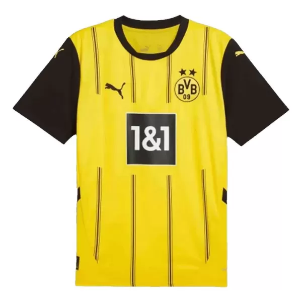 Borussia Dortmund Home Match Jersey 2024/25 - thejerseys