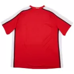 Classic Arsenal Home Jersey 2008/10 - thejerseys