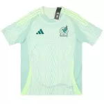 Men's Mexico Away Jersey Copa América 2024 - thejerseys