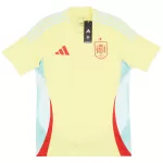 Men's Spain Away Jersey Euro 2024 - thejerseys