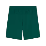 Portugal Home Soccer Shorts 2025 - thejerseys