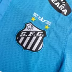 Classic Santos FC Third Away Jersey 2012 - thejerseys