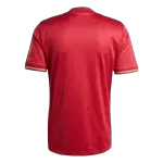 Men's Bayern Munich 125th Anniversary Jersey - thejerseys