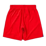 PSG Third Away Soccer Shorts 2025/26 - thejerseys