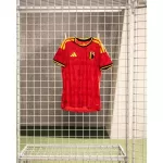 Belgium Home Match Jersey Player Version World Cup 2026 - thejerseys