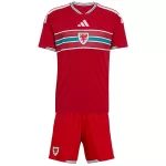Kids Wales Home Jersey Kit World Cup 2026 - thejerseys