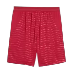 Portugal Home Soccer Shorts 2026 - thejerseys
