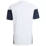 Argentina Pre-Match Training Jersey White 2026 - thejerseys
