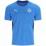 Iceland Home Jersey World Cup 2026 - thejerseys